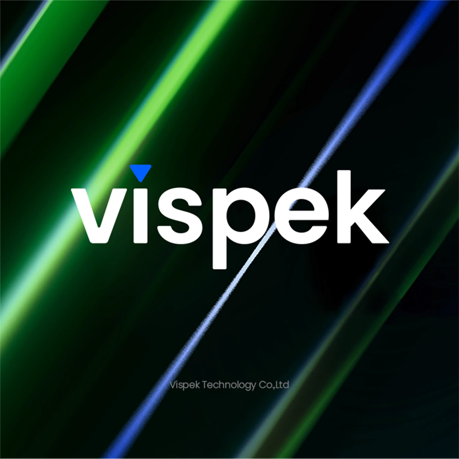 Vispek  关于我们