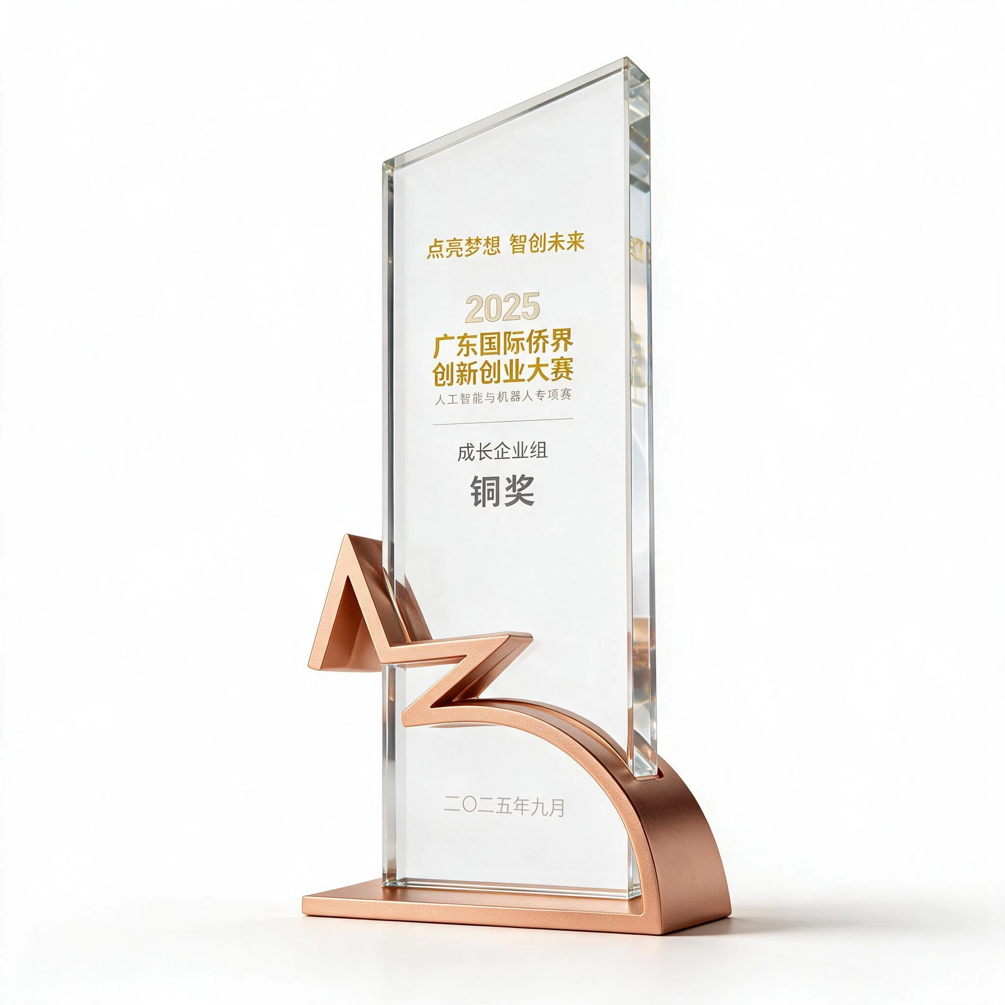广东省归国华侨创新创业大赛铜奖