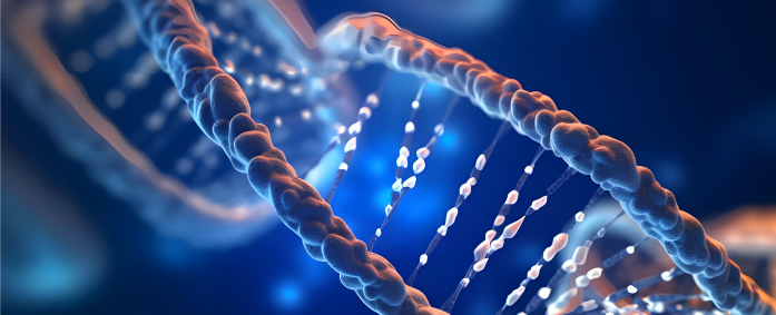 DNA 双螺旋示意图
